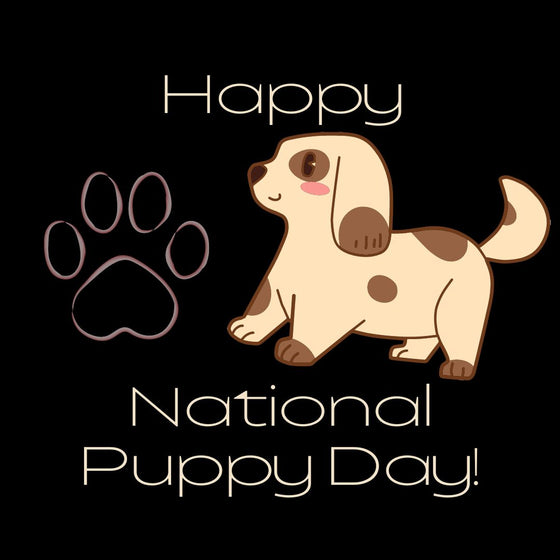 National Puppy Day: Ways to Celebrate